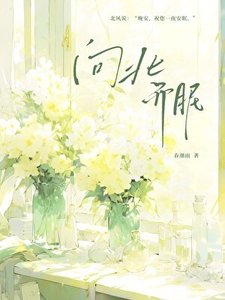 《向北而眠》