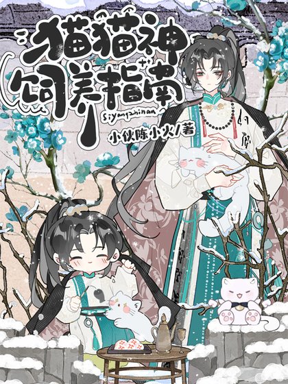 《猫猫神饲养指南》