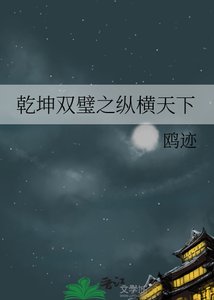 《乾坤双璧之纵横天下》