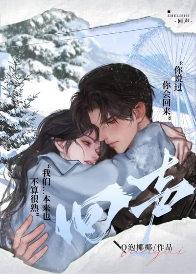 《飞雪回声》
