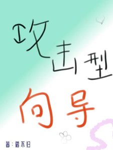 《普通人成为攻击型向导后》