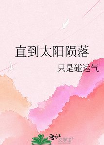 《直到太阳陨落》