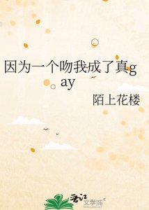《因为一个吻我成了真gay》