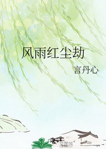 《风雨红尘劫》