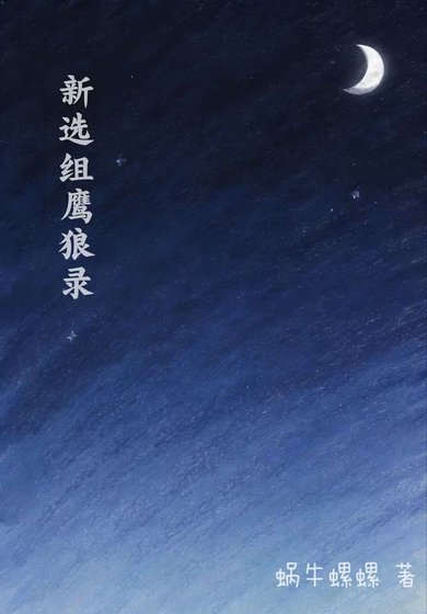 《新选组鹰狼录》