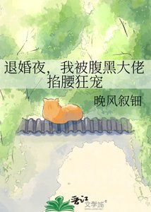 《退婚夜,我被腹黑大佬掐腰狂宠》