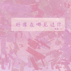 《好像在哪见过你》