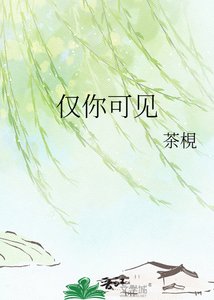《仅你可见》