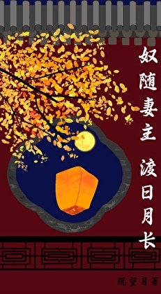 《奴随妻主,渡日月长(女尊)》