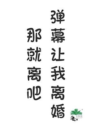 《弹幕让我离婚,那就离吧》