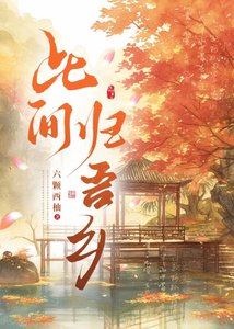 《此间归吾乡》