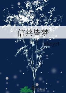 《信莱皆梦》