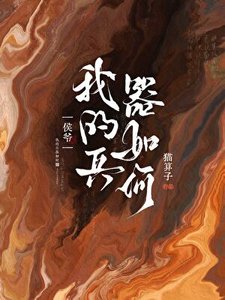 《侯爷,我的兵器如何》
