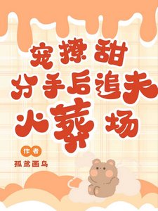 《宠!撩!甜!分手后追夫火葬场》
