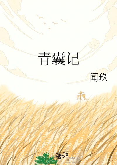 青囊记