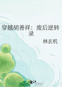 《穿越胡善祥:废后逆转录》