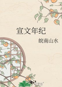 《宣文年纪》