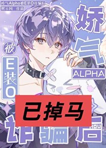 《娇气Alpha被E装O诈骗后》