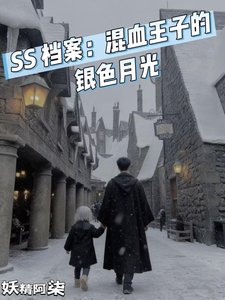 《SS档案:混血王子的银色月光》