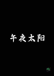 《午夜太阳》