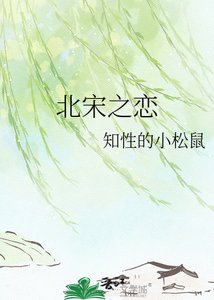 《北宋之恋》