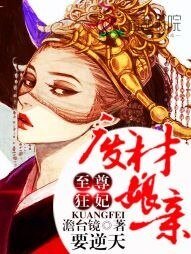 《至尊狂妃:废材娘亲要逆天》