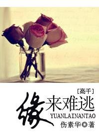 《缘来难逃(高干)》