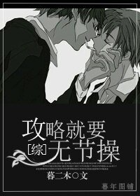 《(BL/综同人)攻略就要无节操》