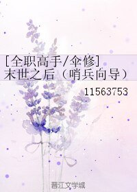 （BL/全职高手同人）[全职高手/伞修] 末世之后（哨兵向导）