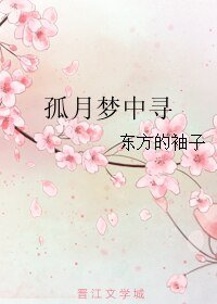 孤月梦中寻/寻月