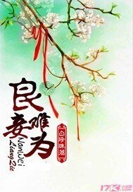 《良妾难为》