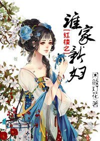 （BG/红楼同人）红楼之谁家新妇