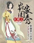 《(BG/红楼同人)红楼之农家闺秀》