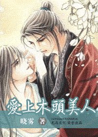 《爱上木头美人(出书版)》