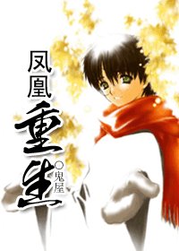 《(HP同人)HP之凤凰重生》