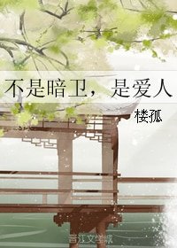 《不是暗卫,是爱人》