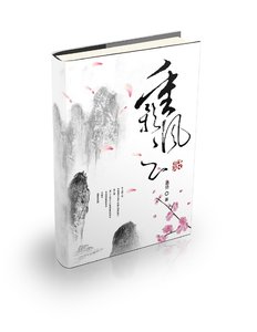 《重影风云录》