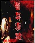 《灵异追踪》