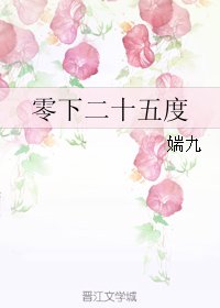 《零下二十五度》