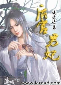 《宫外风起(后宫男妃后传)》