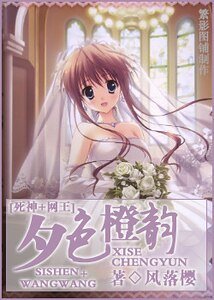 《(死神+网王同人)夕色橙韵》