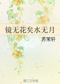 《镜无花矣水无月》