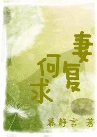 《妻复何求》