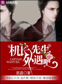 《机长先生,外遇吧》