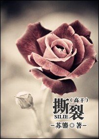 撕裂（高干）
