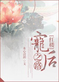 （BG/红楼同人）宠后之路.