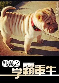 《(BG/韩娱同人)韩娱之学霸重生》