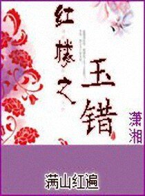 《(BG/红楼同人)红楼之玉错》