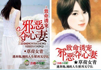 《致命诱宠,邪恶夺心妻》