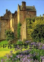 （BG/HP同人）HP布莱克家主母
